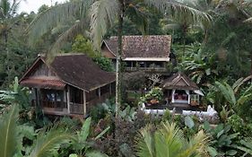 Nienté Bali